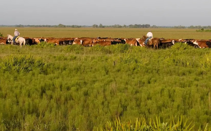 40,000 acre El Maximo Ranch sold to power company for solar farm