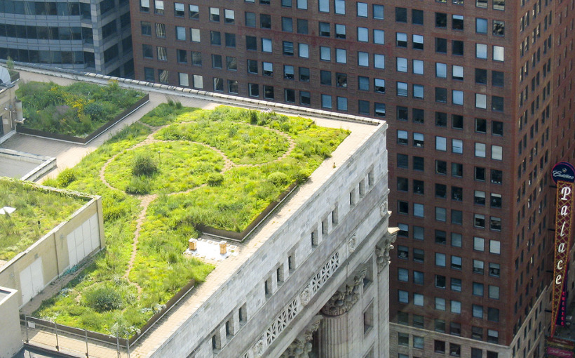 Chicago City Hall