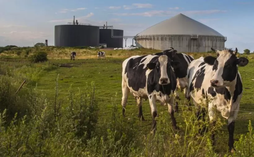 Walmart spending $380M on Robinson milk processing plant