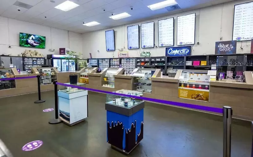 CA Purple Lotus store San Jose