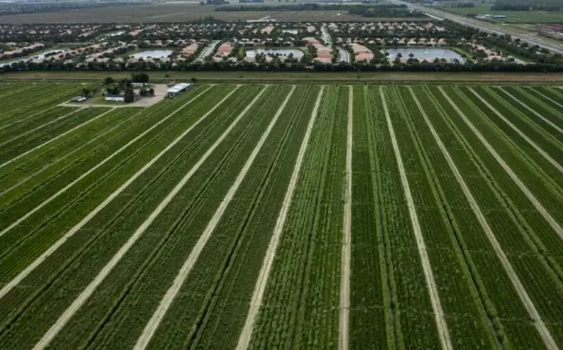 Erickson buys 53 acres of Boynton Beach farmland