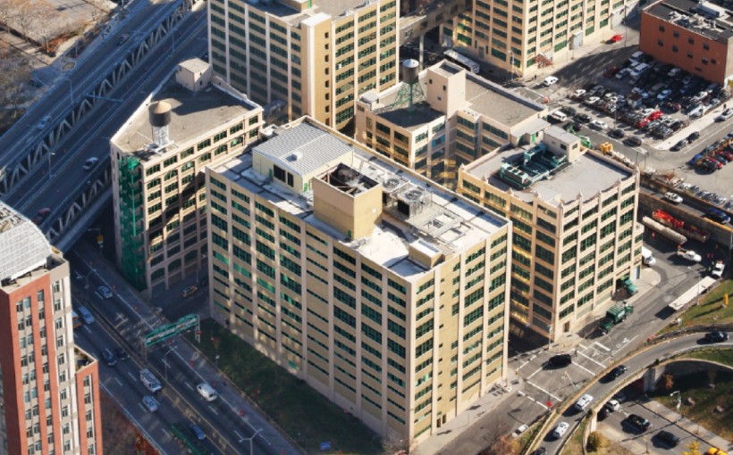 Dumbo Campus