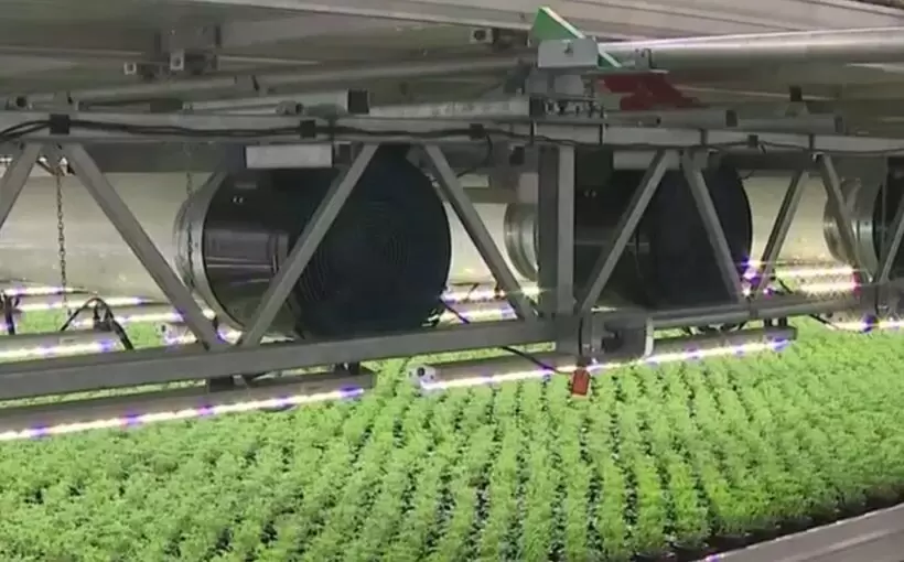 Soli Farm comes on line in SA