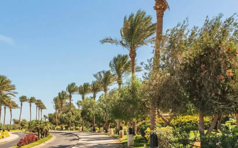Palm Springs FL