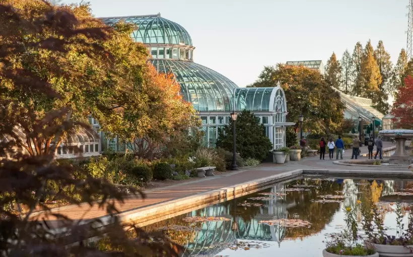 NY Brooklyn Botanic Garden photo Tagger Yancey