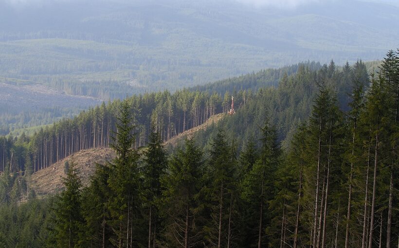 TimberlandPNW