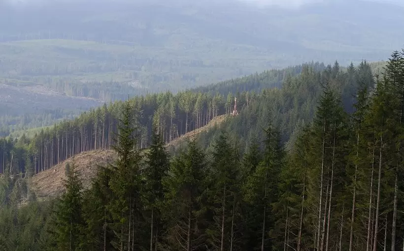 TimberlandPNW