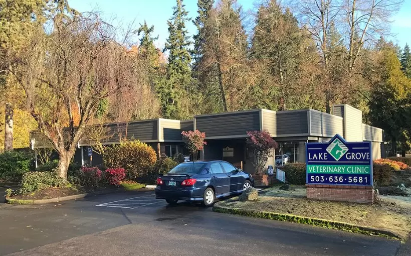Lake Grove Vet ClinicNorris&Stevens