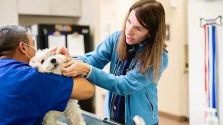 NAT Mission Pet Health generic image