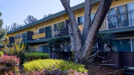 CA The Cedars apartments Castro Valley