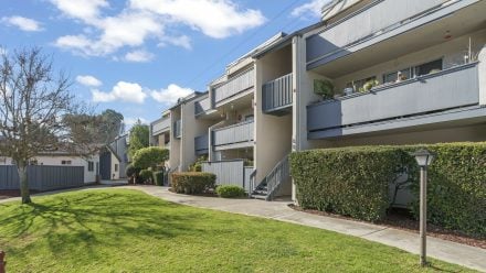 CA Alamo Park Apartments Mountain View