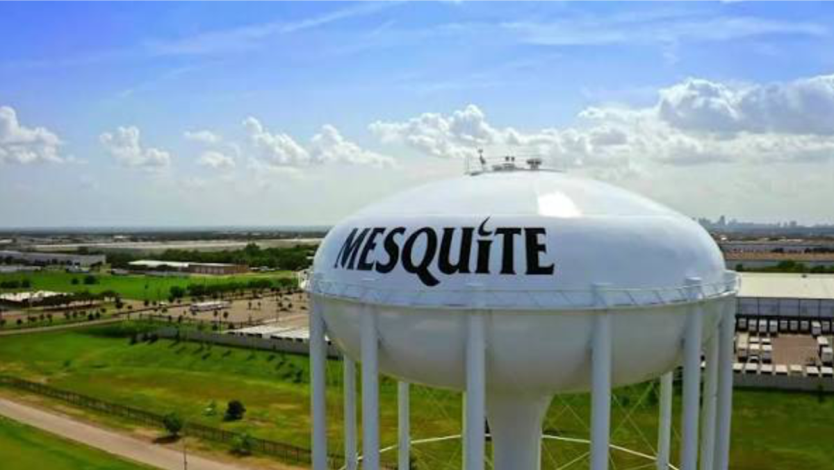 Mesquite