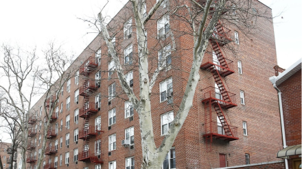 NY 430 499 East 8th Street Brooklyn